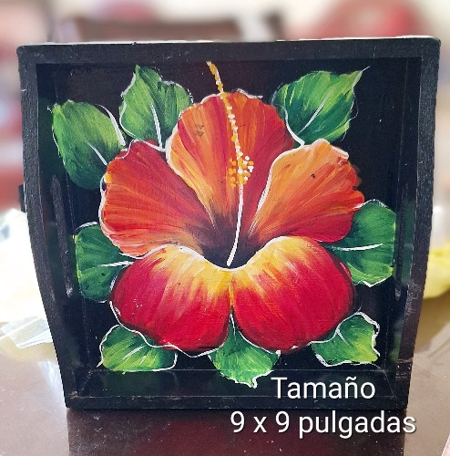 Imagen 1 de Bandeja Negra Cayena 