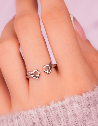 Imagen 1 de Anillo Alas Plateado Ref: A043