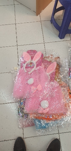 Imagen 1 de Alas con disfraz