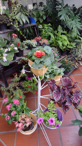 Imagen 1 de Base arbolito multi puestos de piso 