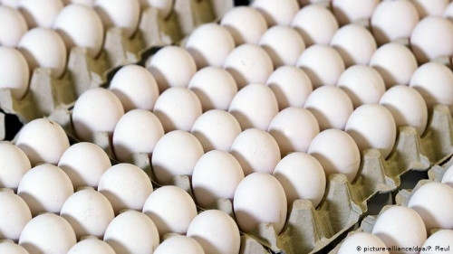 Imagen 1 de Bandeja de huevos extra 30 u/
