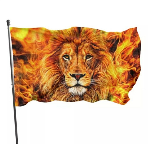 Imagen 1 de Bandera de leon de Juda