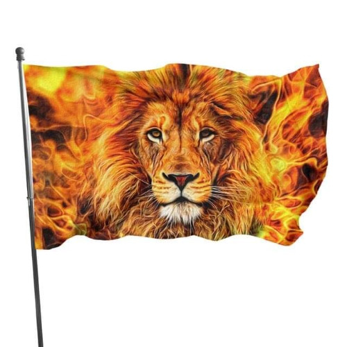 Imagen 1 de Bandera león de Juda