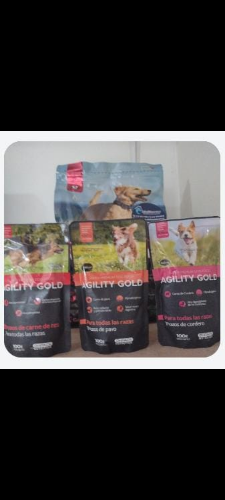 Imagen 1 de Agility gold húmedo perros adultos 100 gr cordero
