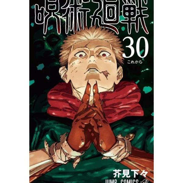 JUJUTSU KAISEN 30 JAPONÉS