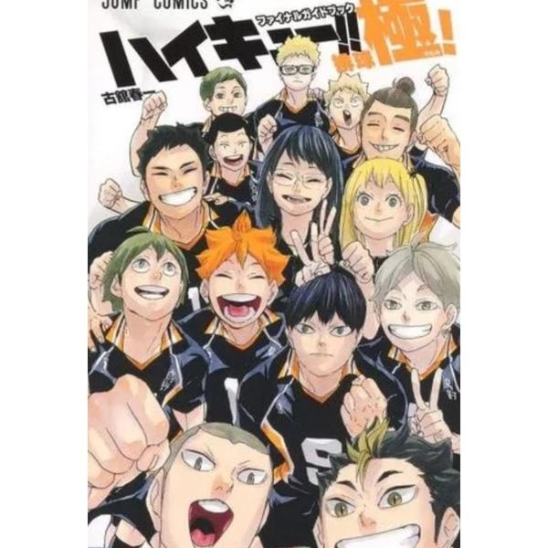 HAIKYUU! THE FINAL GUIDE