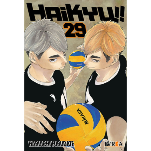 HAIKYUU #29