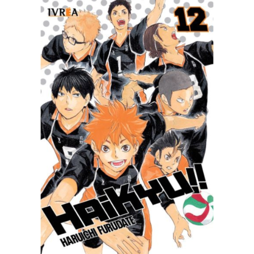 HAIKYUU #12