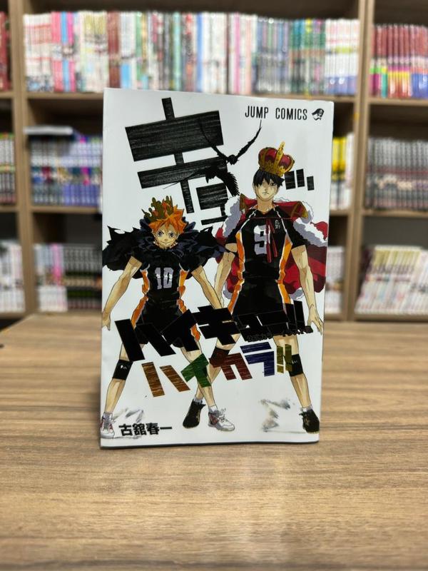 HAIKYU ARTBOOK
