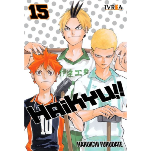 HAIKYUU #15