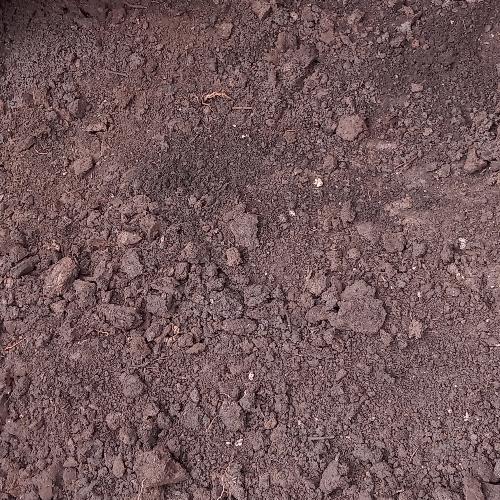 Imagen 1 de Abono orgánico (lombricompost) libra