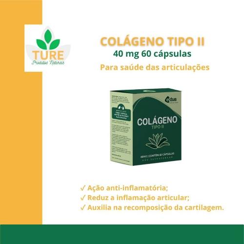 Imagem 1 de Colágeno tipo II 40mg 60 cápsulas