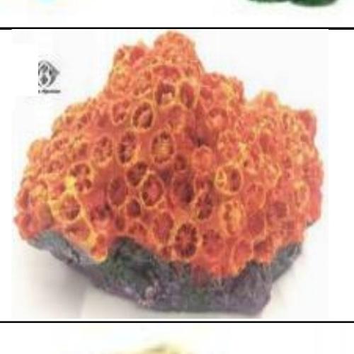 Imagen 1 de Adorno Coral SH3 