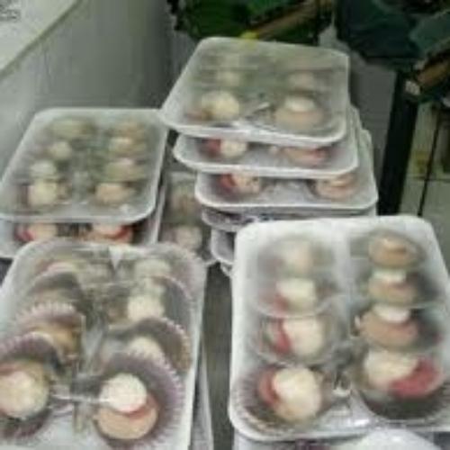Imagen 1 de bandeja de ostiones