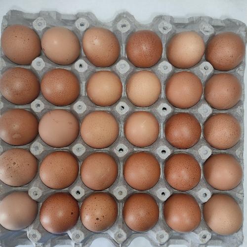 Imagen 1 de Cartón de huevos 