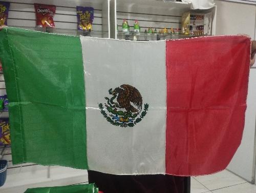 Imagen 1 de Bandera mexicana 75x40 cm