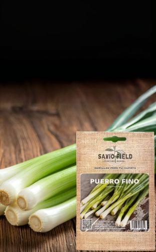Imagen 1 de PUERRO FINO
