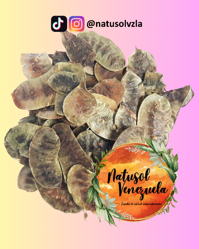 Imagen 1 de ACACIAS DE LA INDIA (50gr)