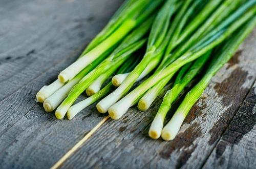 Imagen 1 de PUERRO FINO