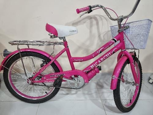 Imagen 1 de Micargui aro 20