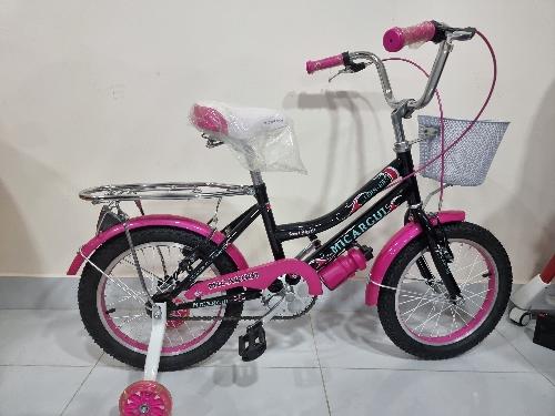 Imagen 1 de Micargui aro 16