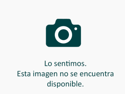 Imagen 1 de Bolsa 3×8 Trans. ROYAL ×⁵⁰⁰U 