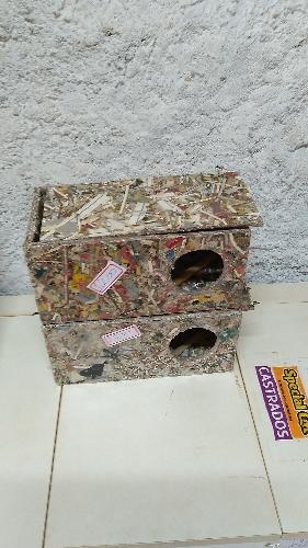 Imagem 1 de Ninhos de periquitos australiano 