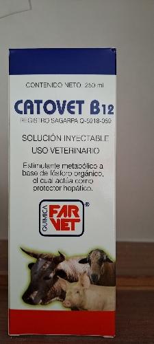 Imagen 1 de Catovet B12 250 ml