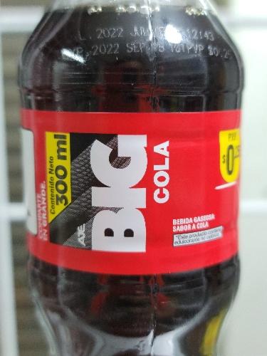 Imagen 1 de Big Cola 300 ml 7862110544514