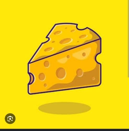 Imagen 1 de Queso extra