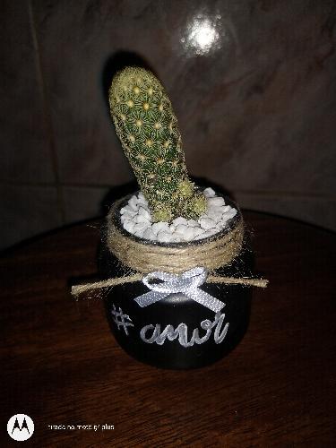 Imagem 1 de Mini vasos 