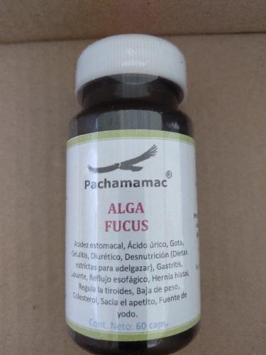 Imagen 1 de Alga focus 60 Caps