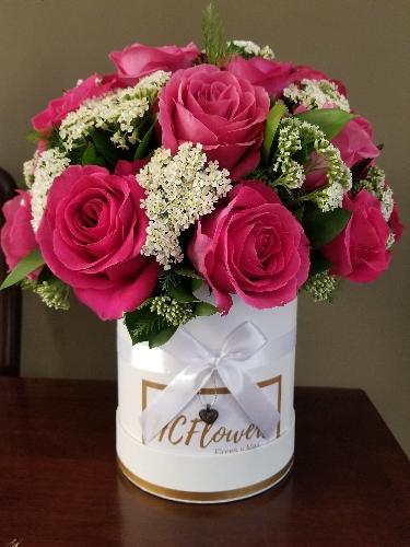 Imagen 1 de ALEGRÍA