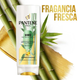 PANTENE ACOND. BAMBU 400G