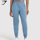 Training Performance Joggers - Faded Blue(S)