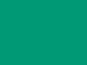 FOAMI D/CARTA VERDE NAV