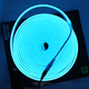 neon celeste 12 v