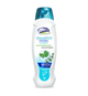 shampo anticaspa  meicy  450ml
