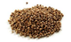 Cilantro Entero 250grs