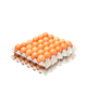PANAL DE HUEVOS AAA