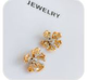 Arete Flori