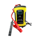 Cargador Bateria 12v Carro Moto
