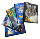CUADERNO 100 HOJAS RAYADO NORMA