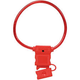 porta fusible