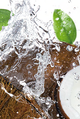 Aceite de Coco con Quinoa | Sobre x 10 grs.