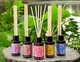 DIFUSOR AROMANZA CHICO 60ML