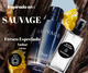 SAUVAGE