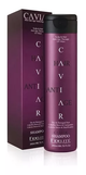 Fidelite Shampoo Cabellos Secos y Castigados 260ml
