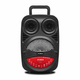 AIWA Parlante portatil AW-P240D-SN