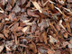 MULCHING corteza DE PINO 2dm3